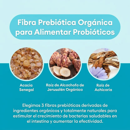 Vientre Plano System™ - tratamiento desinflamatorio digestivo